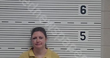 NELSON, HANNAH | 2025-05-20 08:56:17 Lawrence County, Alabama Booking