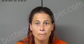 LONG, PATRICIA ELLEN | 2025-05-20 15:51:46 Fayette County, Ohio Booking