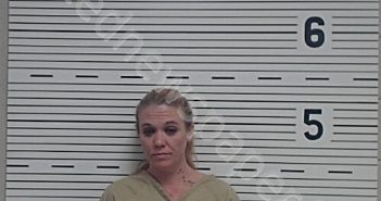 GOODWIN, JESSICA DANIELLE | 2025-05-20 15:07:47 Lawrence County, Alabama Booking
