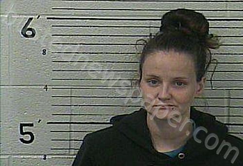 MEADOWS, JESSICA #, Knox County, Kentucky - 2025-05-20 11:31:00