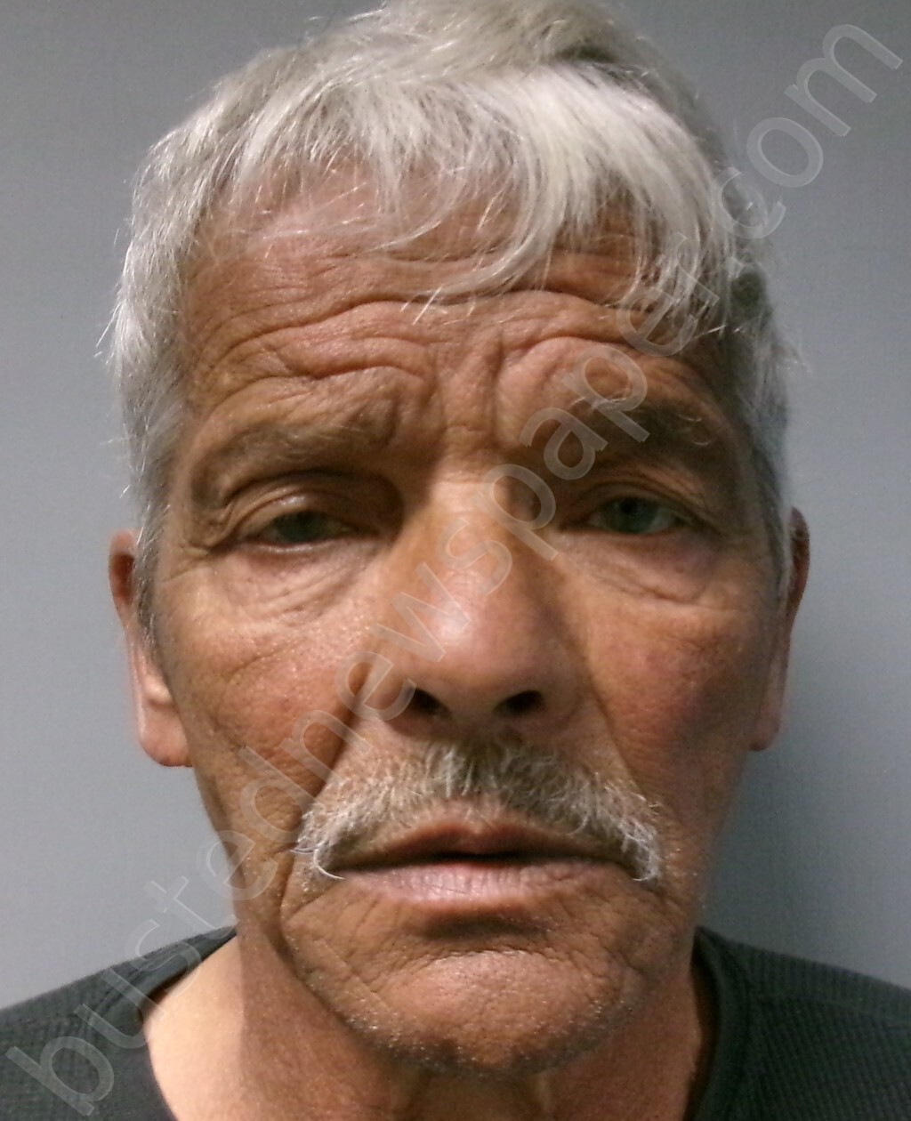 MEYERS, EDWARD LEROY #, Morgan County, West Virginia - 2025-05-20 18:25:00
