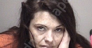 <B>SCHENO</B>, <B>CASSIE</B> <B>ELIZABETH</B> #, Galveston County, Texas - 2025-05-20 01:26:00