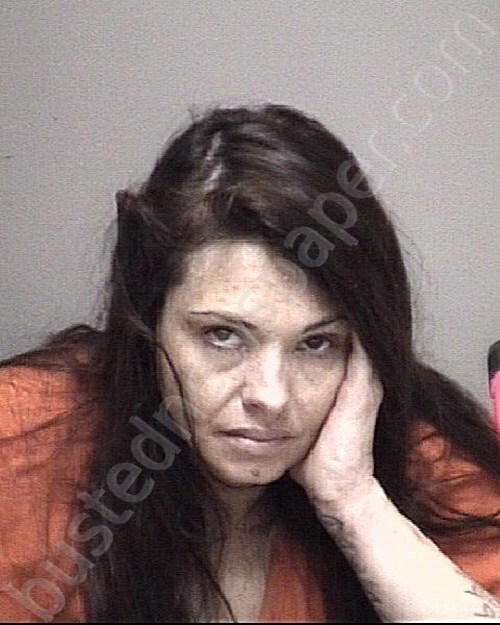 SCHENO, CASSIE ELIZABETH #, Galveston County, Texas - 2025-05-20 01:26:00