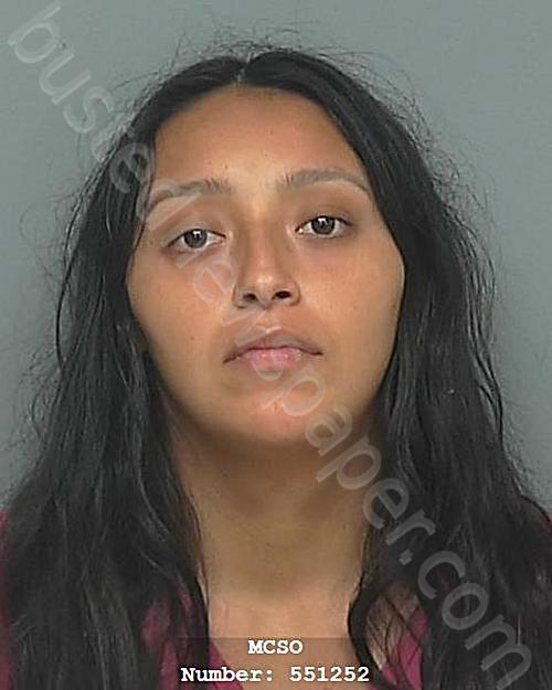 SANTOYA, REBEKAH MARIE #, Montgomery County, Texas - 2025-05-20 11:10:00
