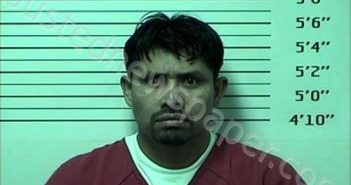 GONZALEZ, TRINIDAD LOPEZ | 2025-05-20 Rhea County, Tennessee Booking