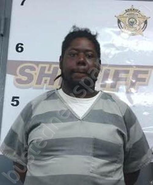 TRAVIS JOHNSON #, Randolph County, Arkansas - 2025-05-20 11:45:00