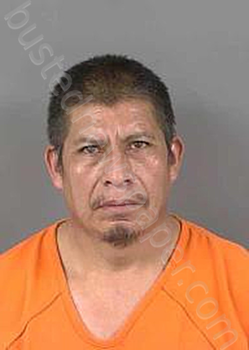 RODASHERNANDEZ,ERNESTO MARINO #, Collier County, Florida - 2025-05-20