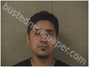 MAJANOLANZA, LUIS | 2025-05-20 Harnett County, North Carolina Booking