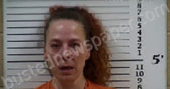 WILLIAMS, DIANA SUE | 2025-05-20 21:53:00 Cherokee County, North Carolina Booking