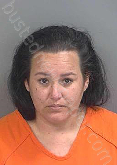 GARCIAMIRANDA,DANIELA #, Collier County, Florida - 2025-05-20