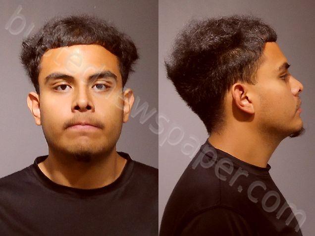 ARIAS, BRIAN LAZARO #, Kendall County, Illinois - 2025-05-20 18:15:00