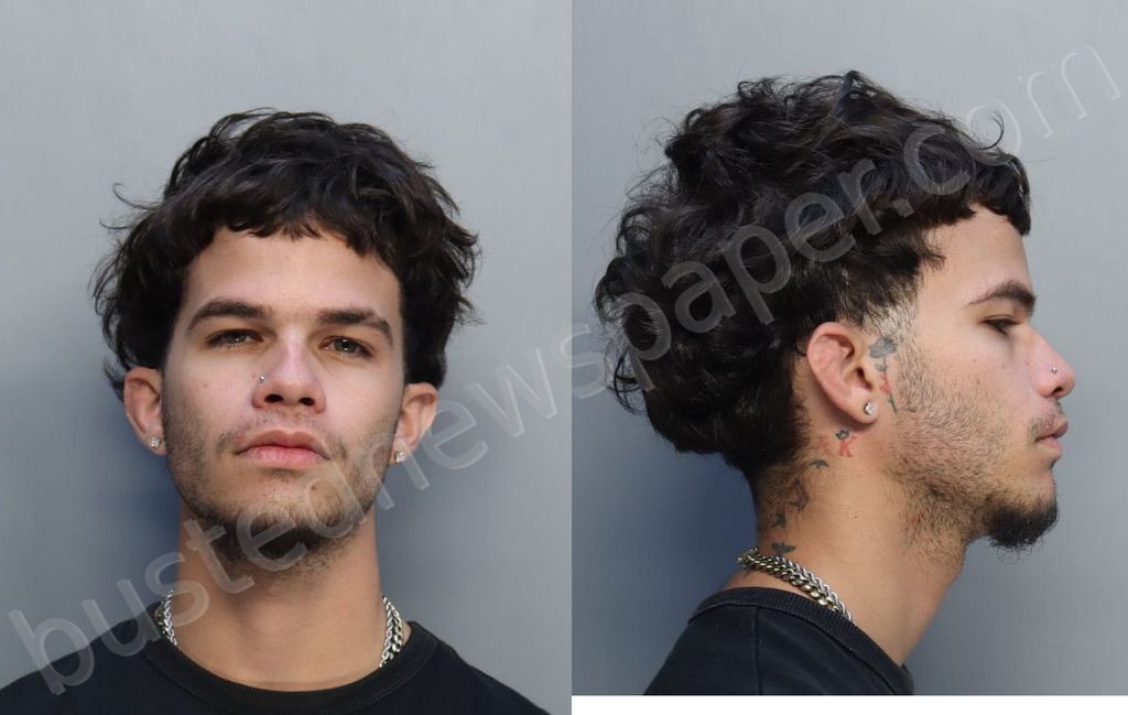 DURAN, ALIX DANIEL #, Miami-Dade County, Florida - 2025-05-21 01:20:00