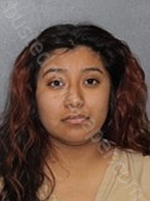 DIAZ, DIANA #, Elkhart County, Indiana - 2025-05-21