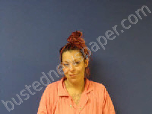 GUERRERO, JENISE #, Sampson County, North Carolina - 2025-05-21 16:12:00