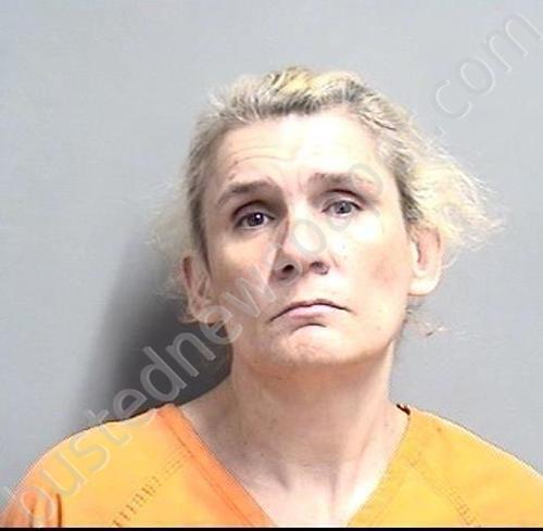 MILBRATH, LONNIE KAY #, Dallas County, Iowa - 2025-05-21 09:45:00