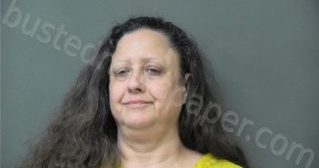 STEELMAN, MICHELLE RENEE | 2025-05-21 03:56:00 Howard County, Indiana Booking