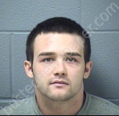 SCHAEFER, MICHAEL L #, Will County, Illinois - 2025-05-21 23:50:00