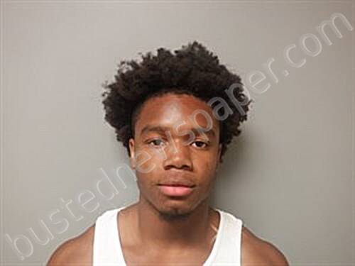 RUTHERFORD, ADAM STEPHAN #, Craighead County, Arkansas - 2025-05-21 17:42:00