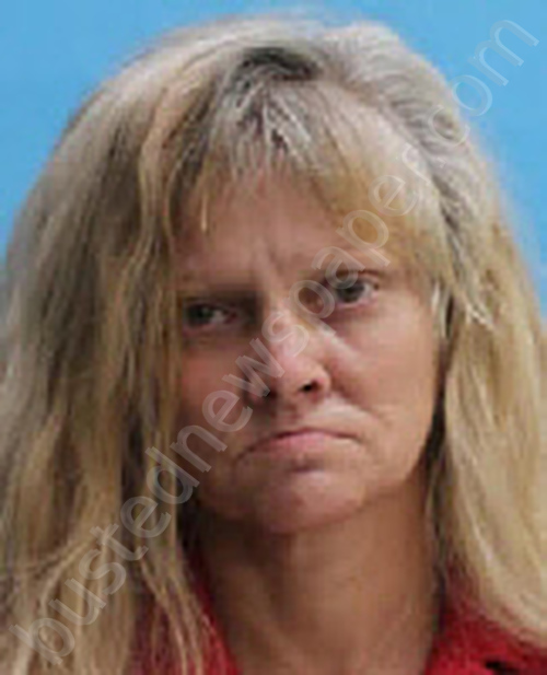 HENDERSON, LESLIE LAVON #, Desoto County, Florida - 2025-05-21 12:53:00