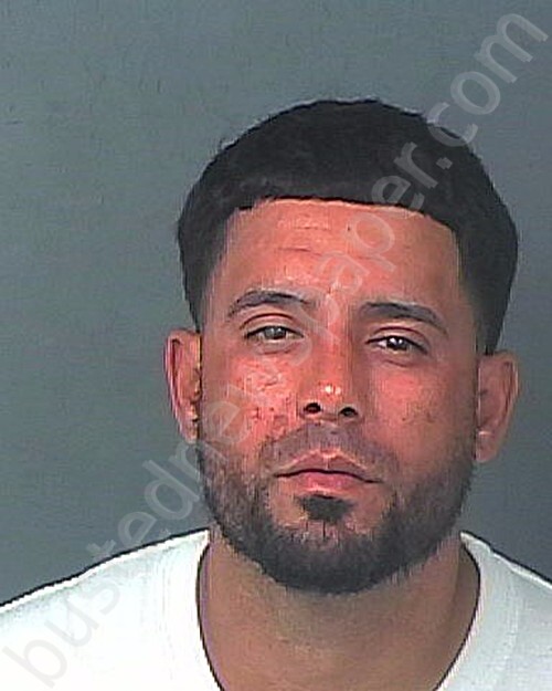 GARCIA, HIRAM LUIS #, Hernando County, Florida - 2025-05-21 22:00:00