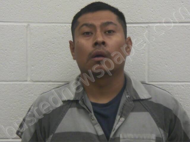 LIMONTECO, JESUS SILVA #, Loudon County, Tennessee - 2025-05-21 02:06:00