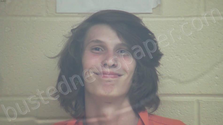FRYE, ISAIAH W #, Webster County, Kentucky - 2025-05-21 21:09:00