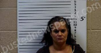 ESTREMERA, MARIBEL NMN | 2025-05-21 13:19:00 Cherokee County, North Carolina Booking