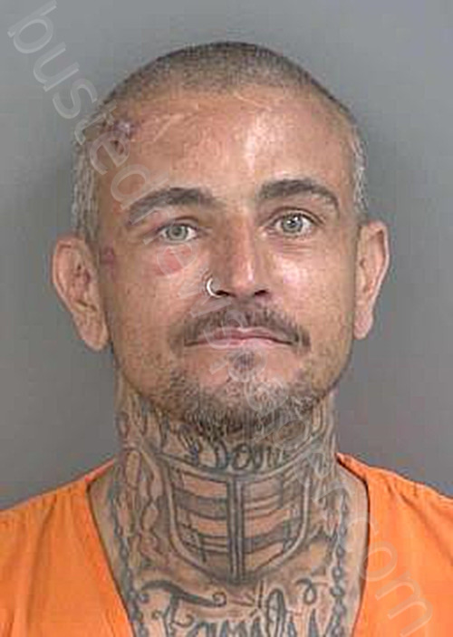 MCDONALD,KENNETH NEIL #, Collier County, Florida - 2025-05-21