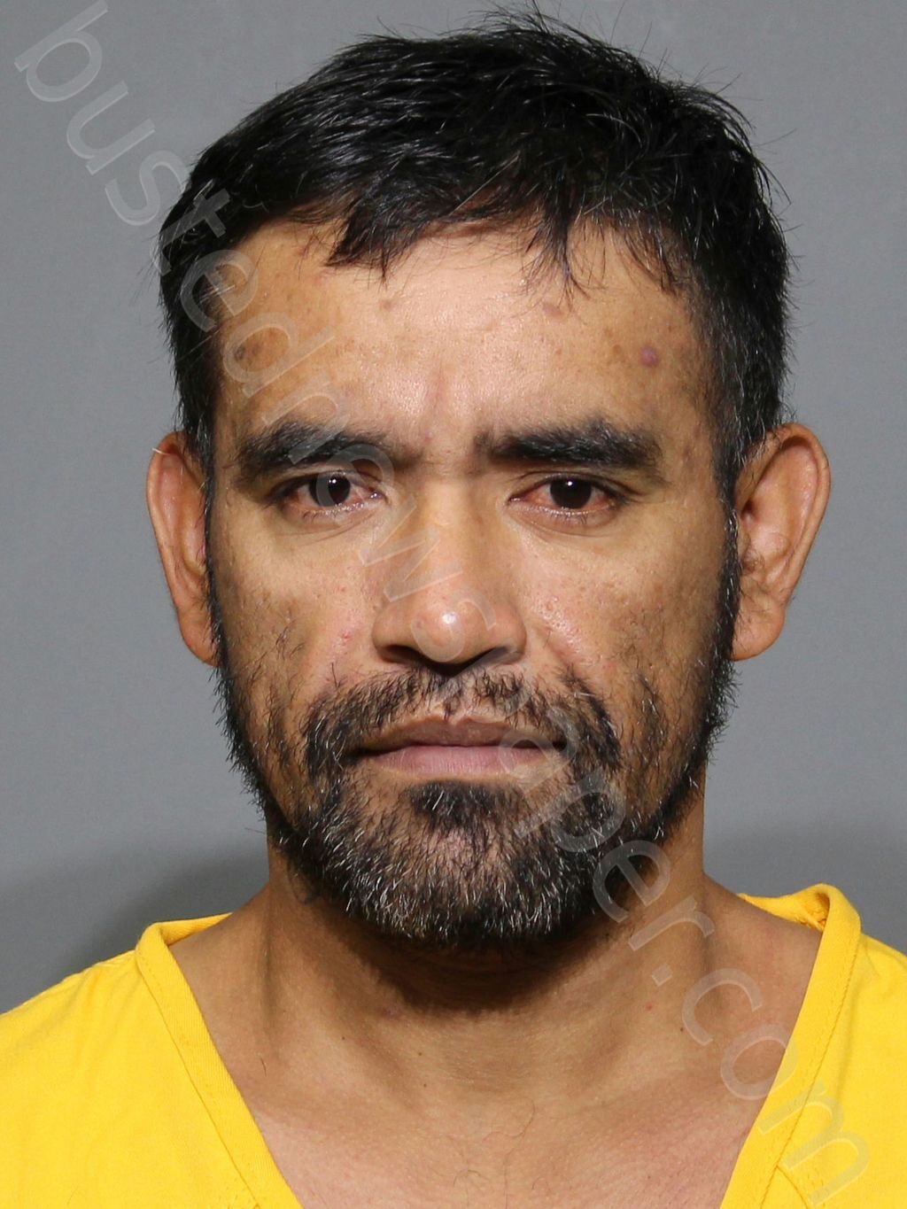 MONDRAGON-RAMIREZ, PEDRO #, York County, South Carolina - 2025-05-21 17:56:44