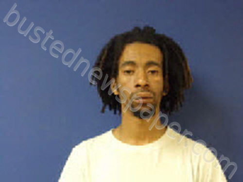 ROBINSON, ERIC DEWAYNE #, Sampson County, North Carolina - 2025-05-21 13:39:00