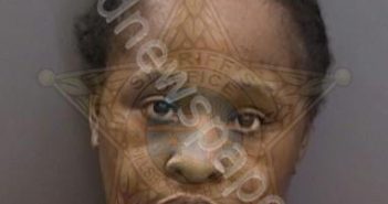 MCCLENDON,VICTORIA | 2025-05-22 18:49:00 Hillsborough County, Florida Booking