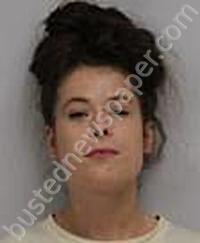 SMITH, MISTY NICOLE #, Davie County, North Carolina - 2025-05-22