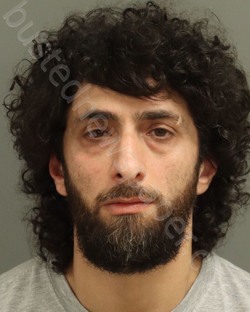 AYRAPETOV, ARMEN SAGATELOVICH #, Wake County, North Carolina - 2025-05-22 20:35:00