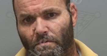 <B>WILLIAMS</B>, <B>MICHAEL</B> <B>DAVID</B> #, Lee County, Florida - 2025-05-23 02:08:00