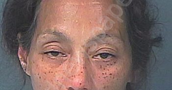 PECORELLA, KATHERINE | 2025-05-24 09:11:00 Hernando County, Florida Booking