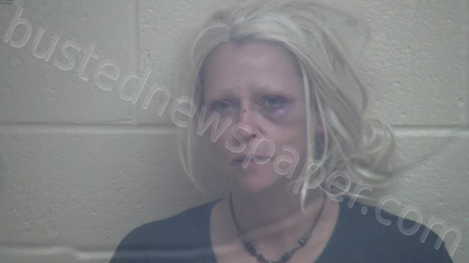 JONES, TAMIKA RENAE #, Webster County, Kentucky - 2025-05-24 01:03:00