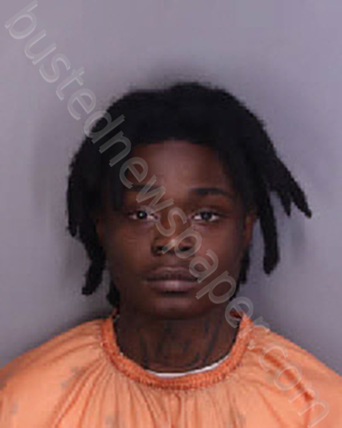 HAMPTON, MIKEZ JERMAIN #, Florence County, South Carolina - 2025-05-24 21:18:00