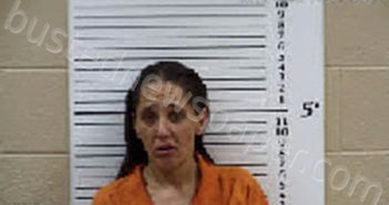 KAYS, BRANDI ALISA | 2025-05-27 13:46:00 Cherokee County, North Carolina Booking