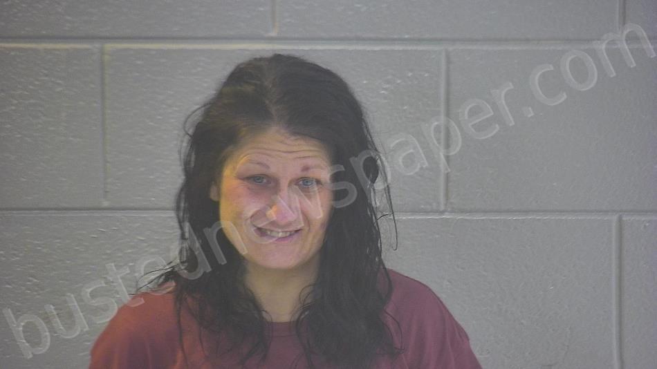 GAMBLE, LAURA BETH #, Pulaski County, Kentucky - 2025-05-28 03:58:00