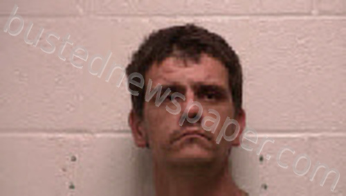 WATSON, DAVID THOMAS #, Robertson County, Tennessee - 2025-05-29 18:47:00