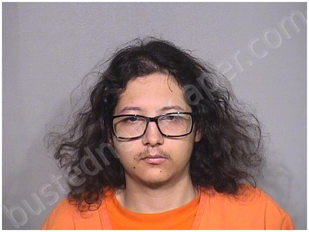NIEVES, EDUARDO J #, Mchenry County, Illinois, McHenry County, Illinois - 2025-05-29 10:50:26