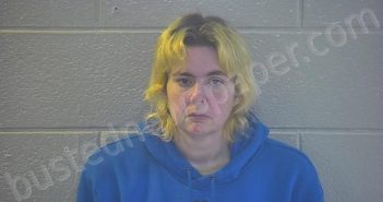 BUTLER, CARRIE NONE | 2025-05-29 15:55:00 Pulaski County, Kentucky Booking