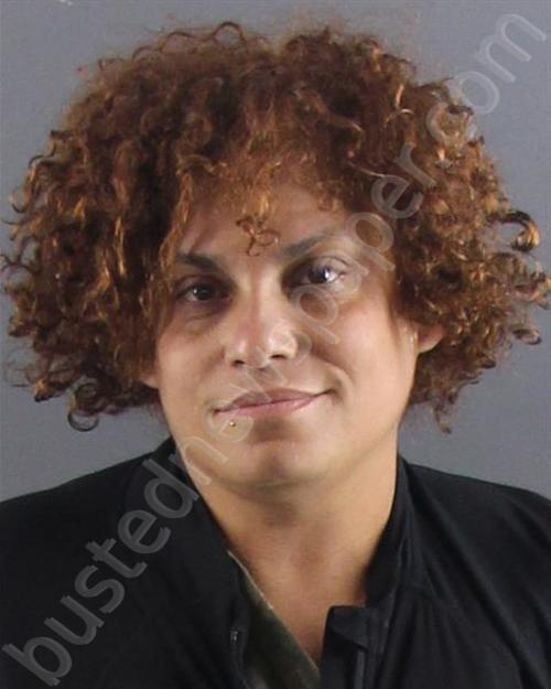 MALAVE, YESENIA N #, Peoria County, Illinois - 2025-05-29