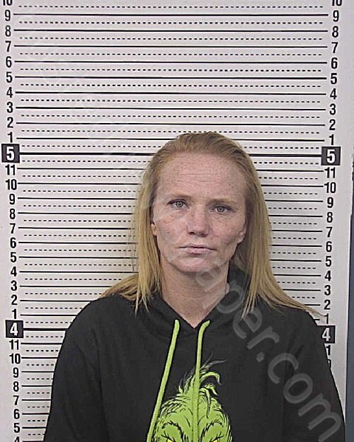 HALL, LISA NICOLE #, Caldwell County, North Carolina - 2025-05-29 14:18:00