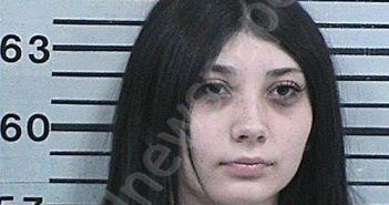 TURNER, SKYANN GRACIE | 2025-05-29 13:49:07 Hood County, Texas Booking