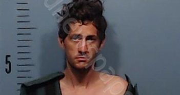 STEGMAN, HARVEY LYNN | 2025-05-30 Taylor County, Texas Booking