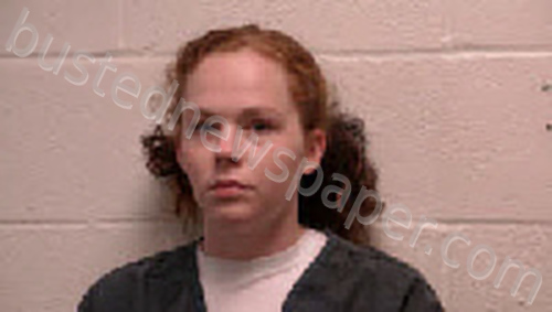 TOON, DIAMOND DANIELLE #, Robertson County, Tennessee - 2025-05-30 14:11:00