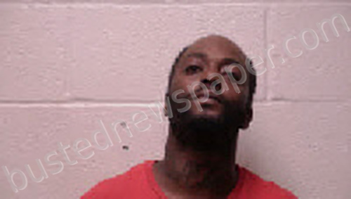 LEAVELL, QUINTON EMMANUEL #, Robertson County, Tennessee - 2025-05-30 03:36:00