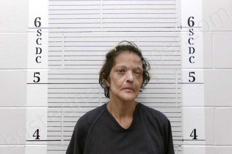 GONZALES, JAMIE #, Socorro County, New Mexico - 2025-05-30 16:25:00