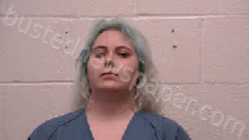 PETYAK, LAUREN #, Robertson County, Tennessee - 2025-05-30 10:25:00